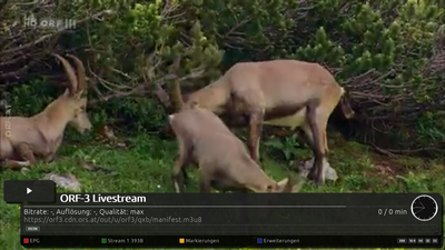 orf.png (1.4 MiB) 5714 mal betrachtet orf.png